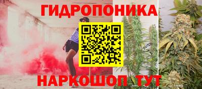 винт Шахты