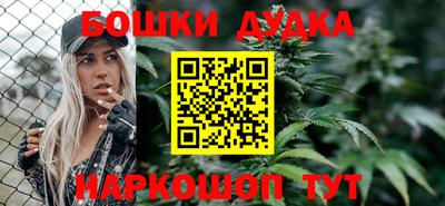 индика Шелехов