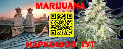 индика Шелехов