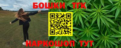 индика Шелехов