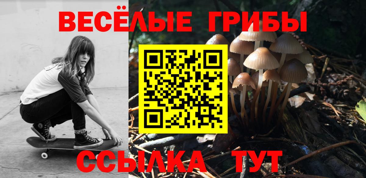 Галлюциногенные грибы Psilocybine cubensis  Вход с VPN  Галлюциногенные грибы мухоморы  наркотики  Чусовой 