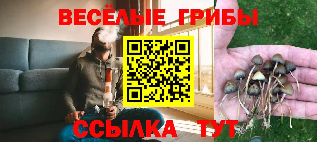 Галлюциногенные грибы GOLDEN TEACHER Чусовой